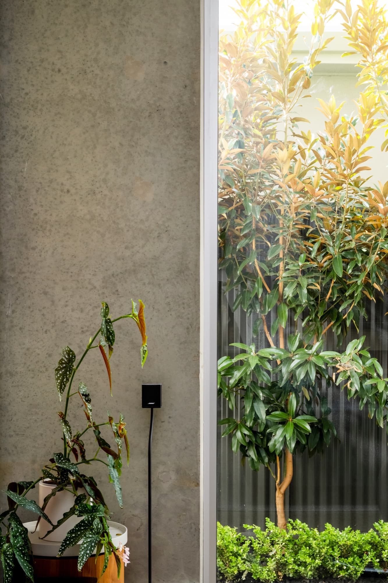 Modern home interior